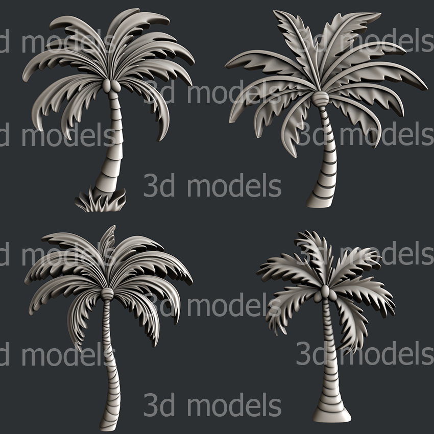 model image