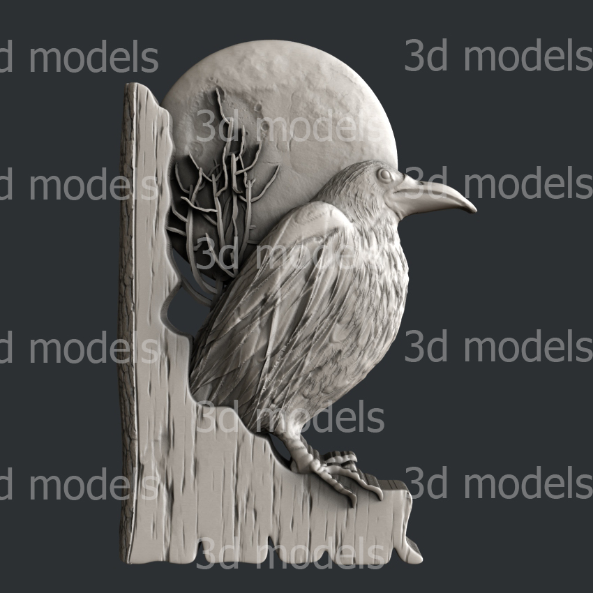 model image