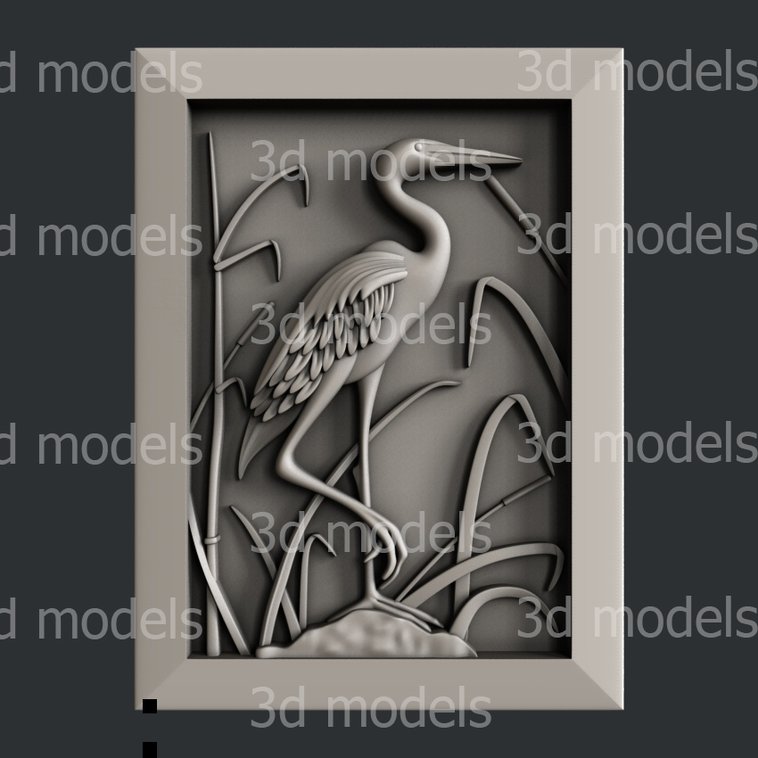 model image