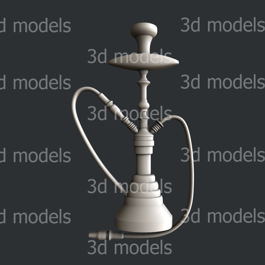 model image