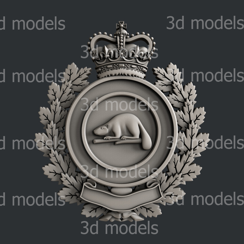 model image