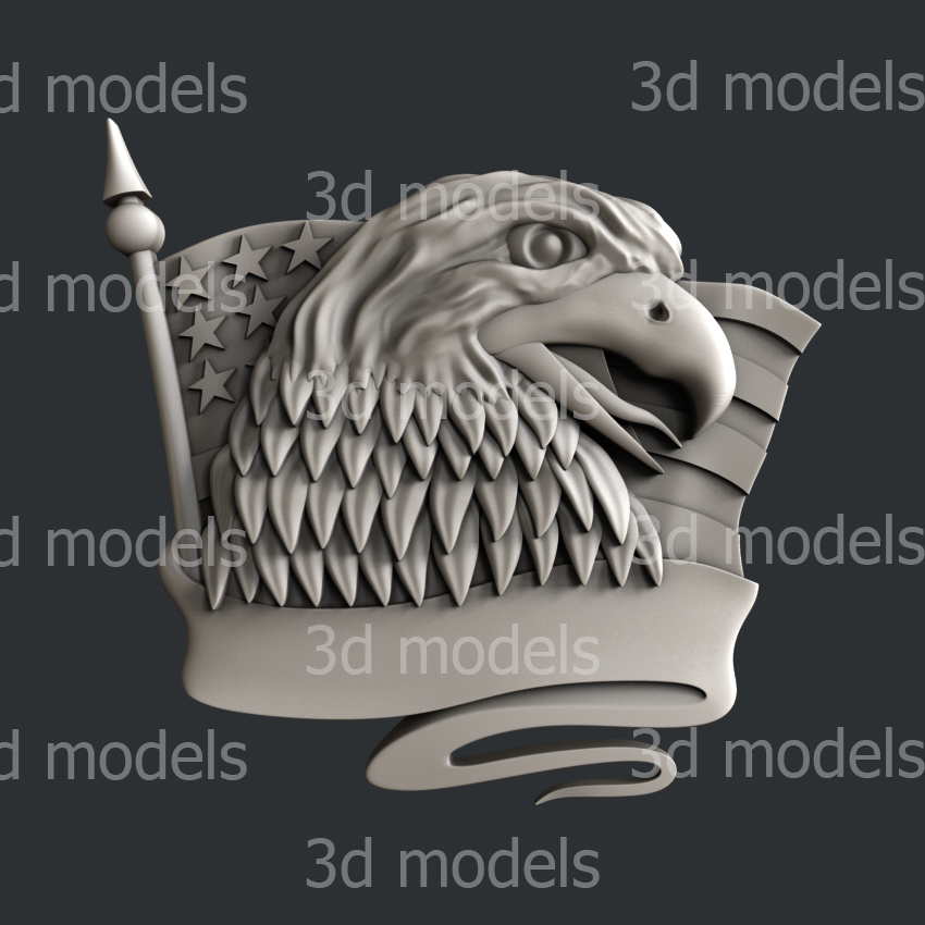 model image