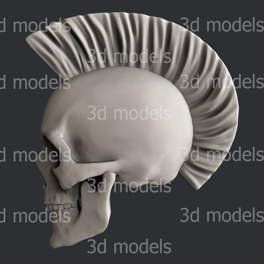 model image