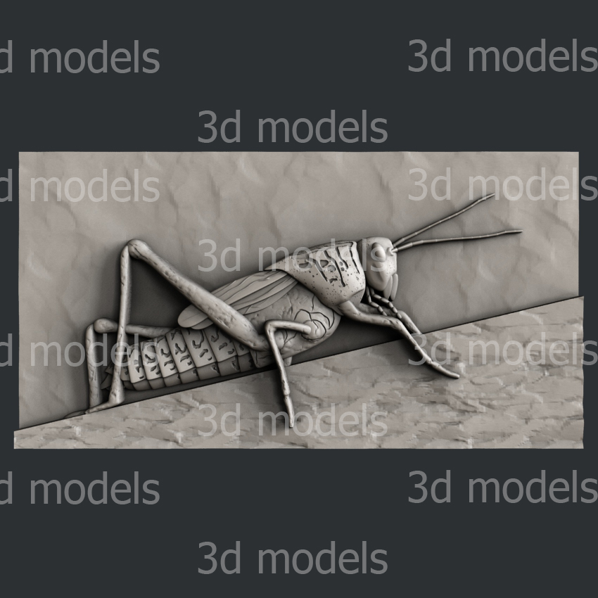 model image