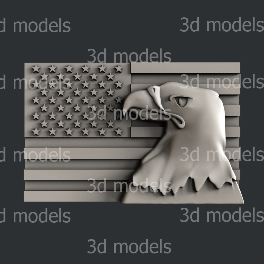 model image