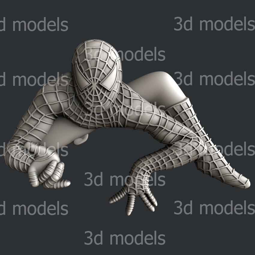 model image