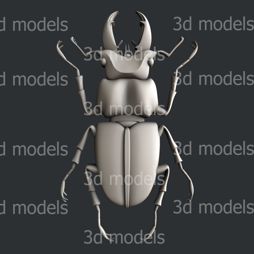 model image