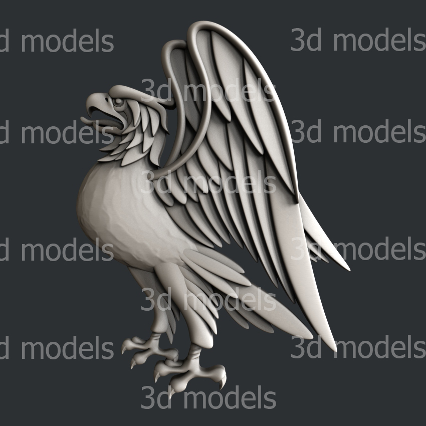 model image