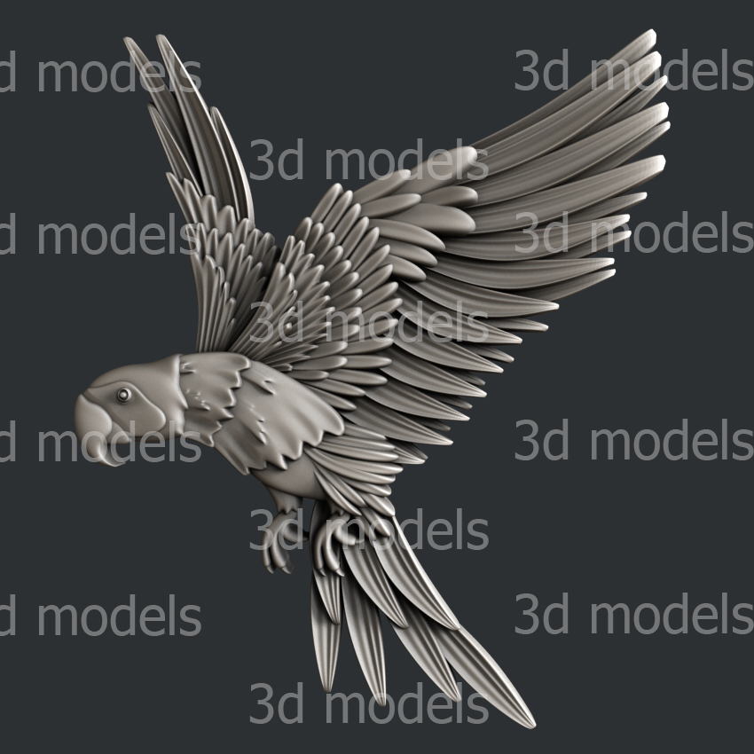 model image