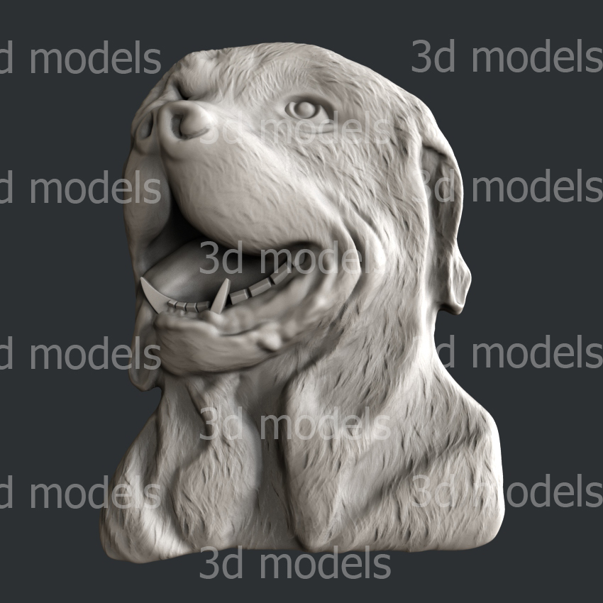 model image