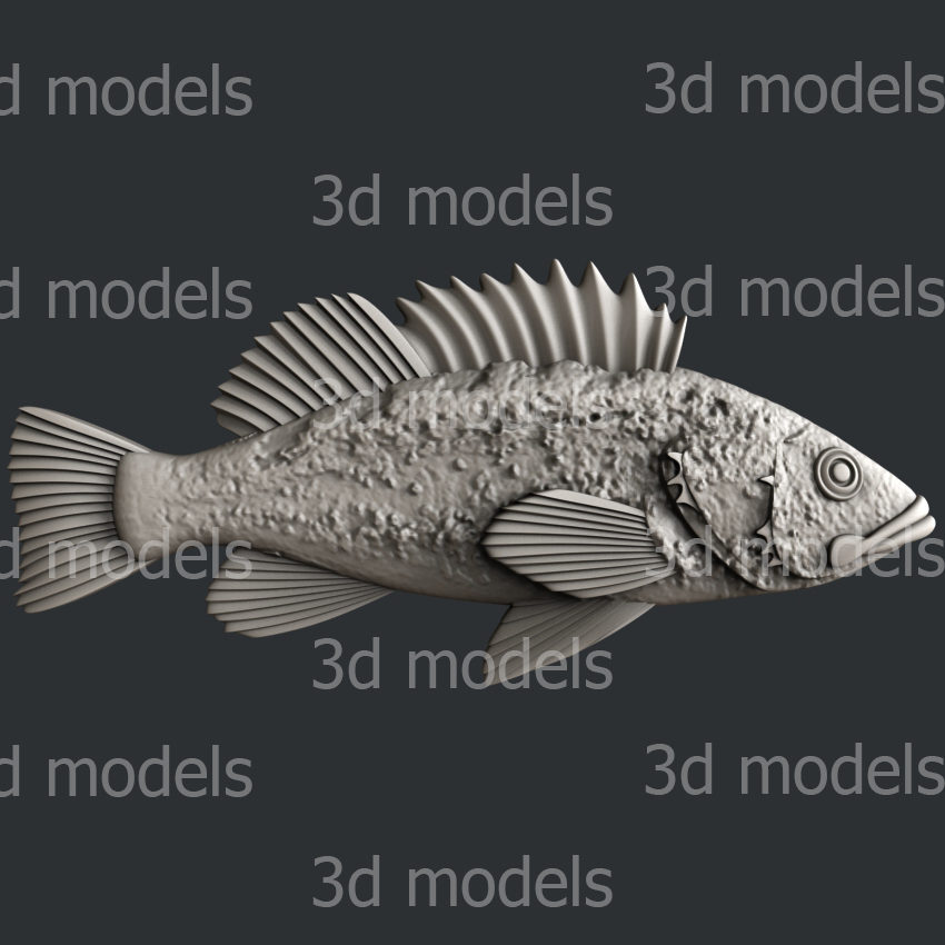 model image