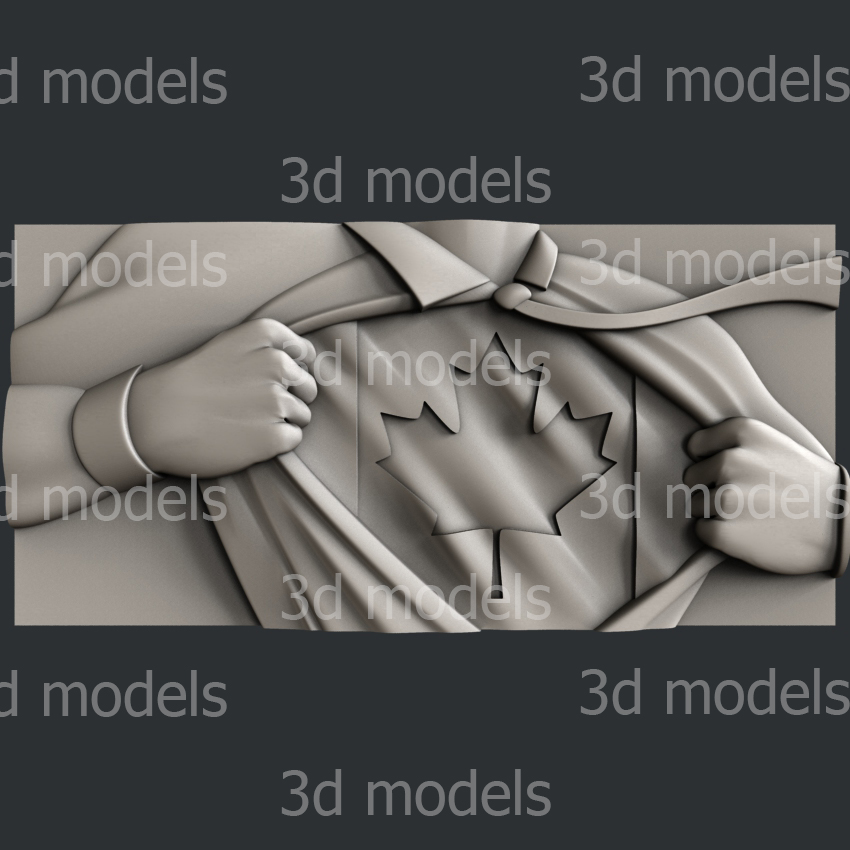 model image