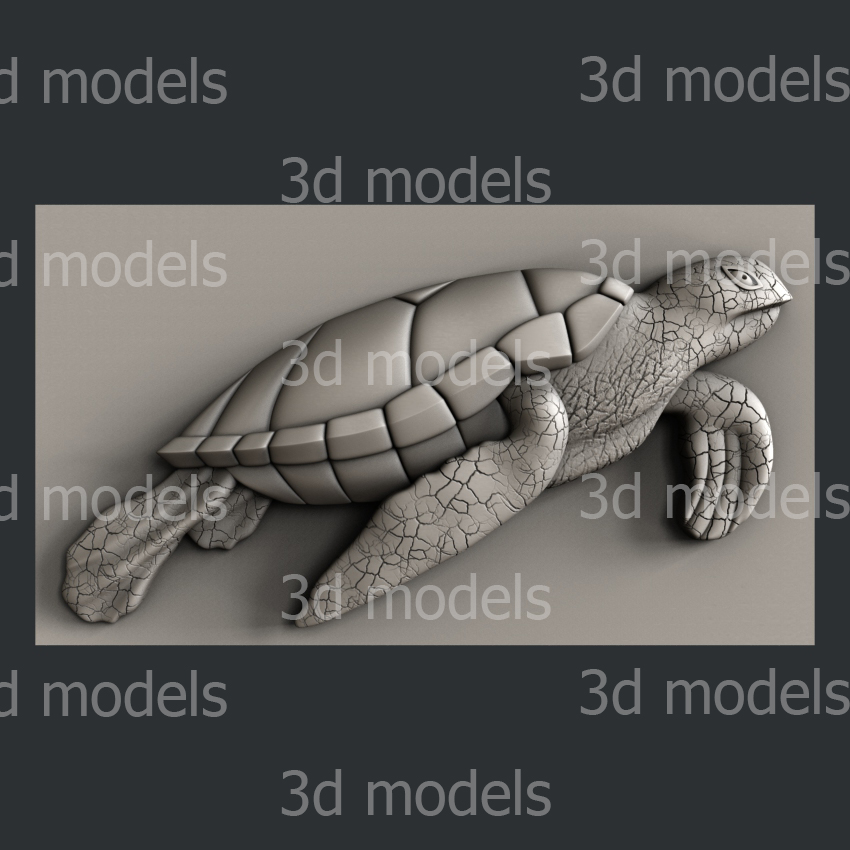 model image