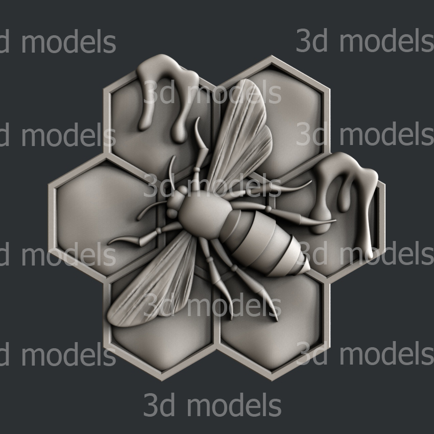 model image