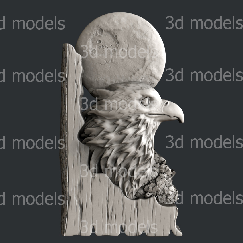 model image