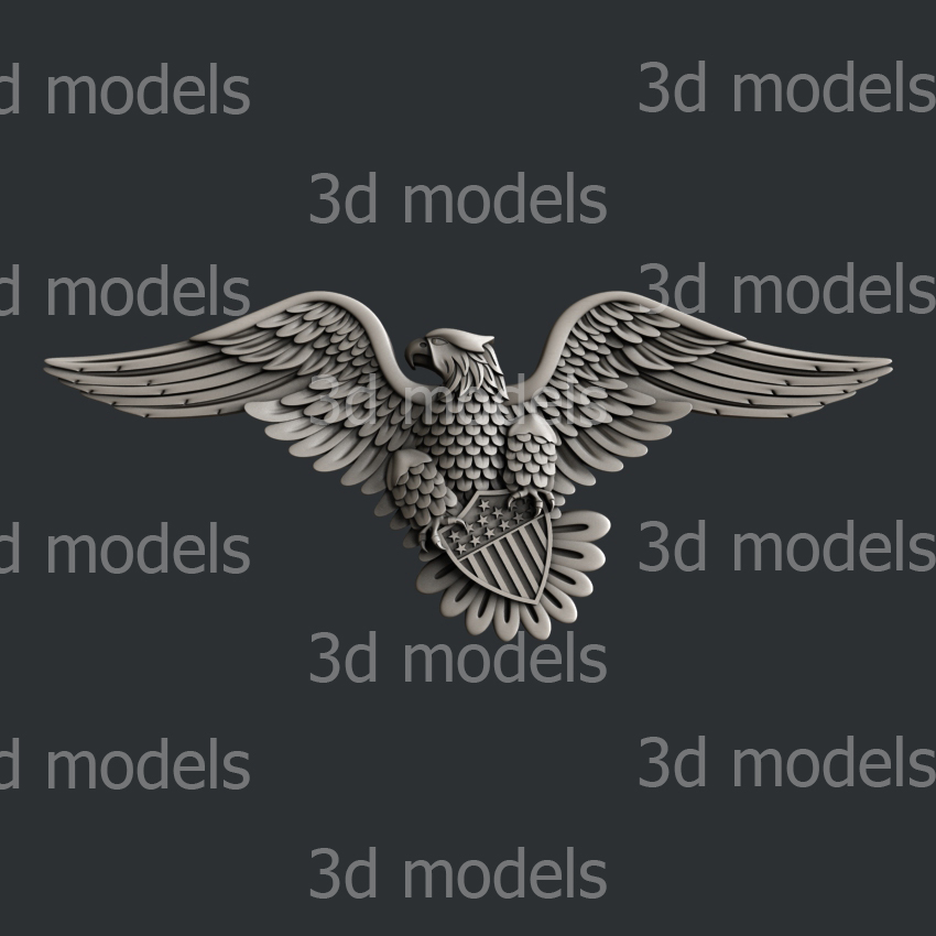 model image