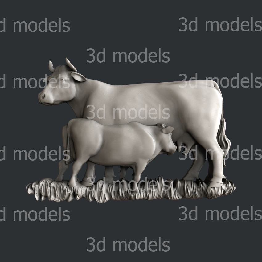 model image