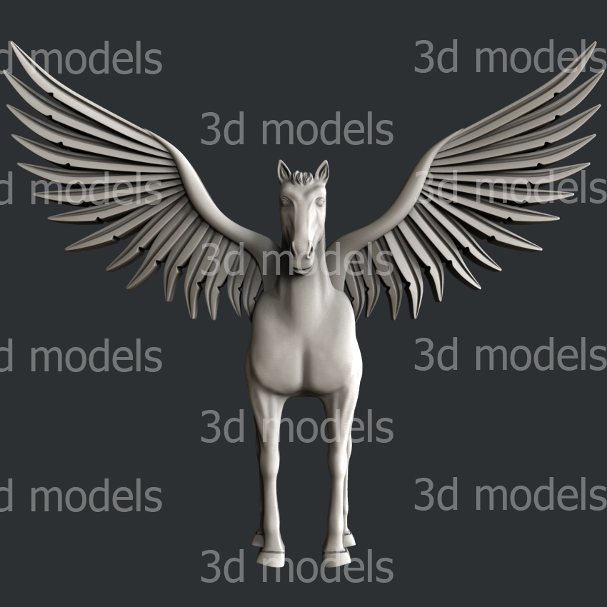 model image