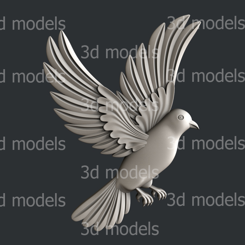 model image