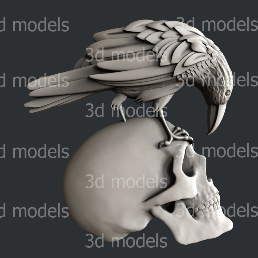 model image