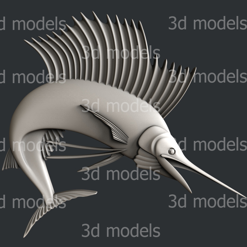 model image