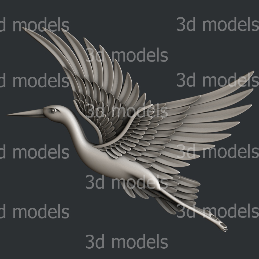 model image