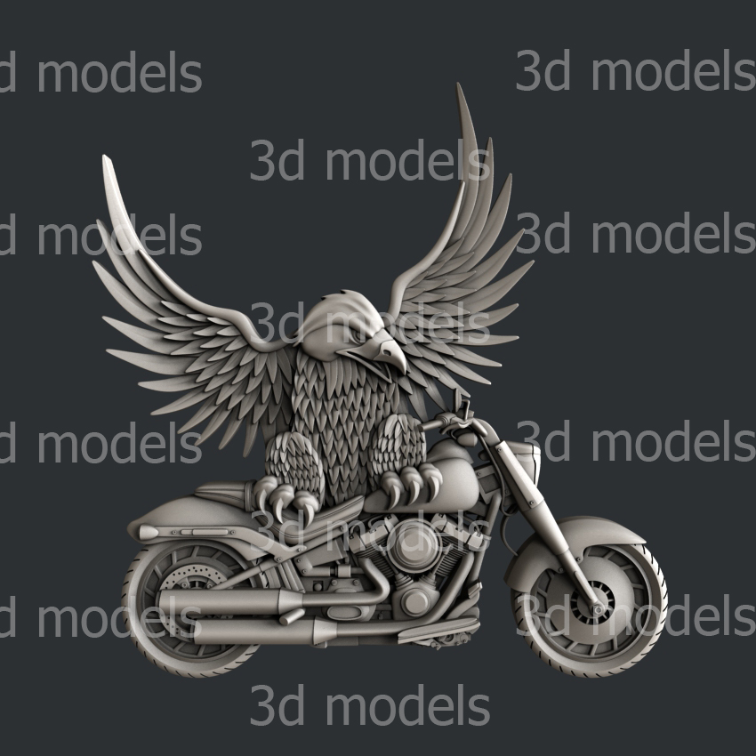 model image