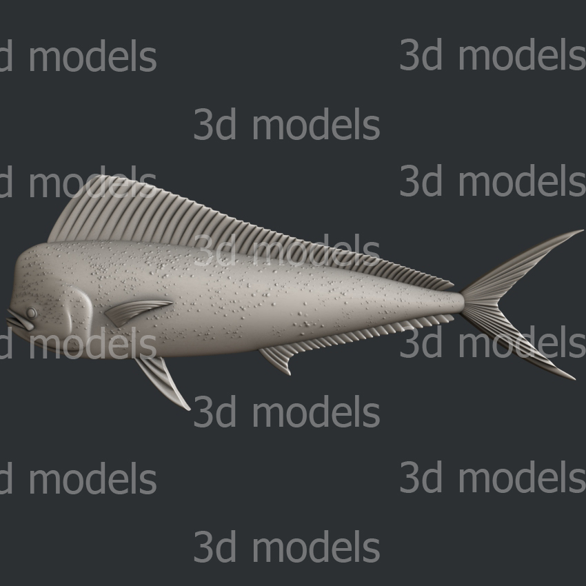 model image